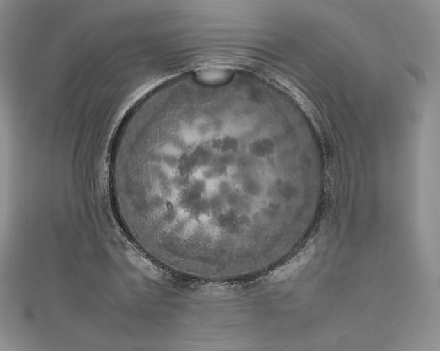 X0000111530779200907141527