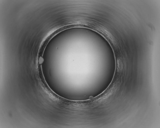 X0000111530780200907141527