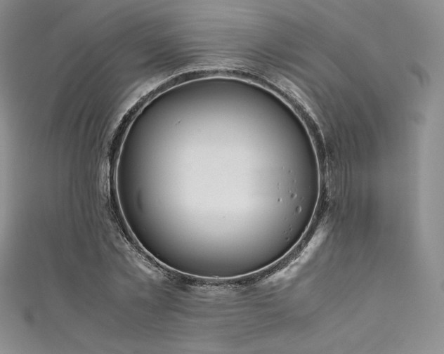 X0000111530781200907141527