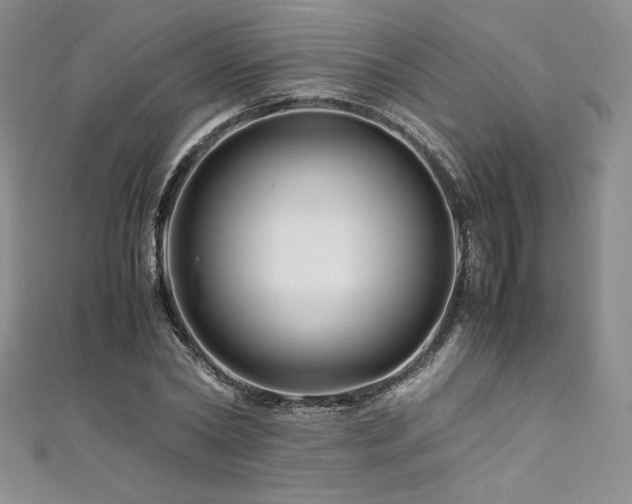 X0000111530782200907141527