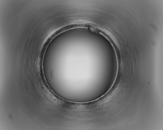 X0000111530783200907141527