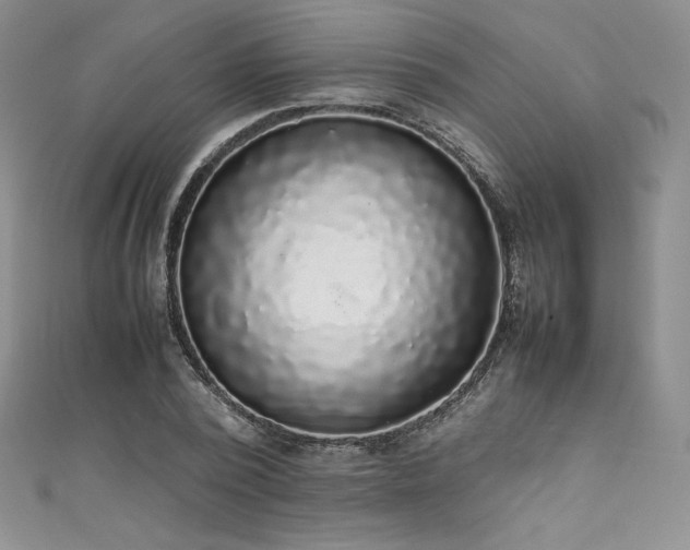 X0000111530784200907141527