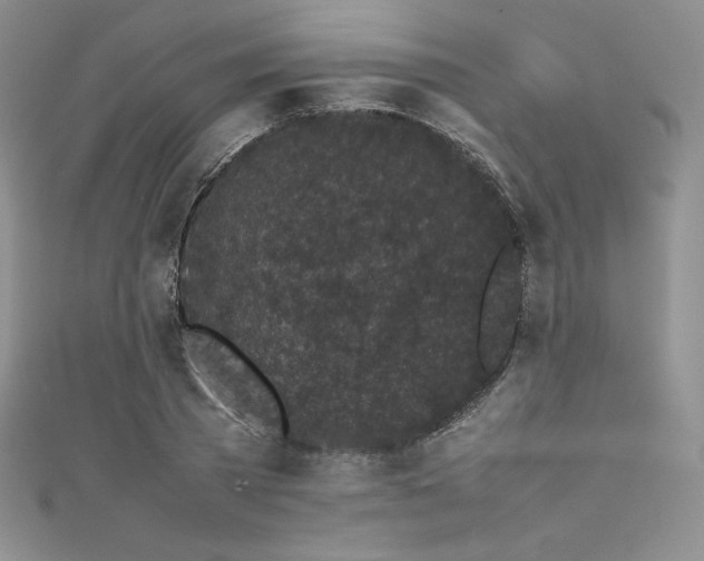 X0000111530785200907141527