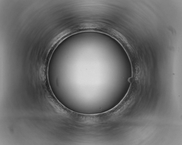 X0000111530786200907141527