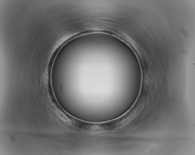 X0000111530787200907141527