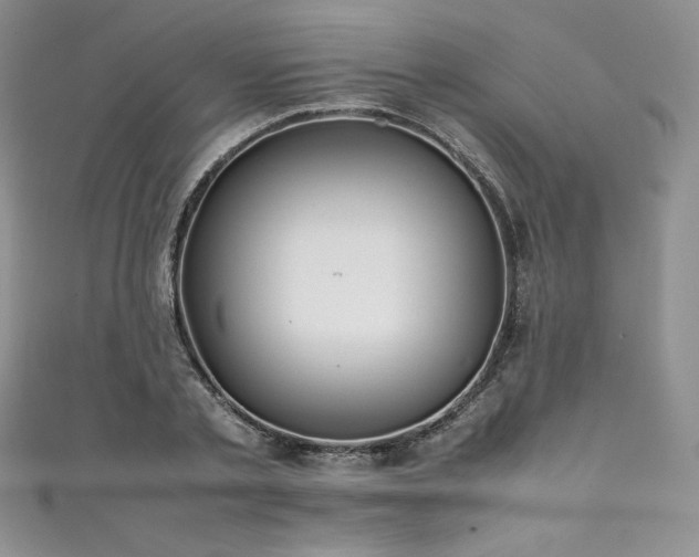 X0000111530789200907141527