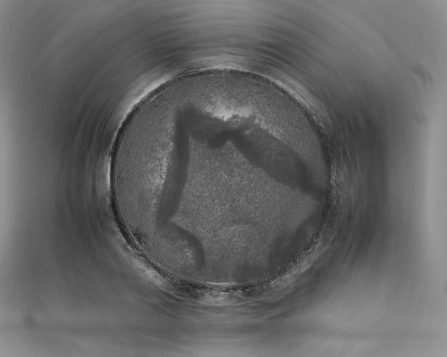 X0000111530790200907141527