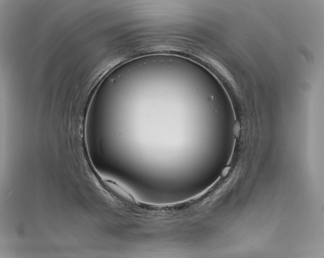 X0000111530793200907141527