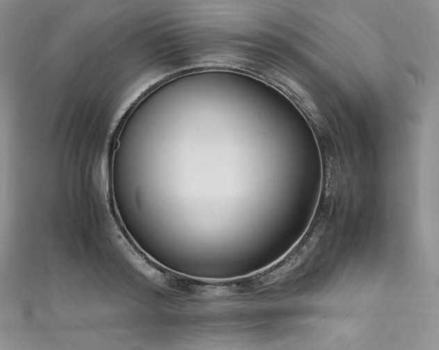 X0000111530796200907141527