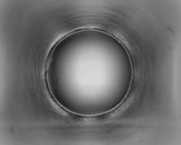 X0000111530797200907141527