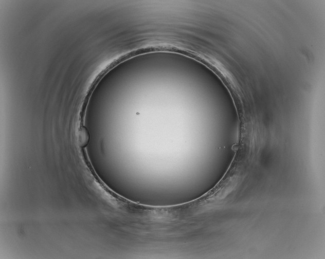 X0000111530799200907141527