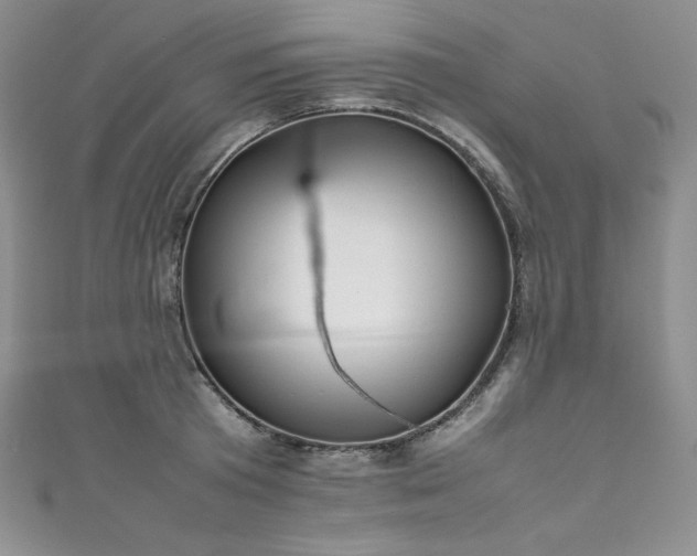 X0000111530801200907141527