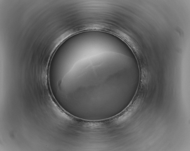 X0000111530802200907141527