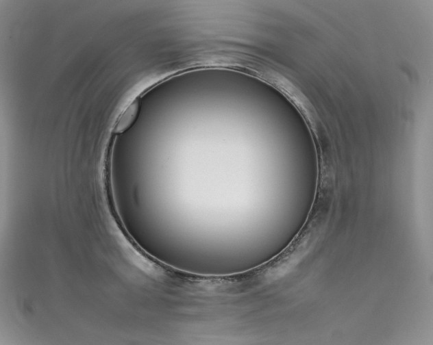 X0000111530803200907141527