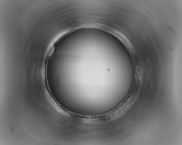 X0000111530804200907141527