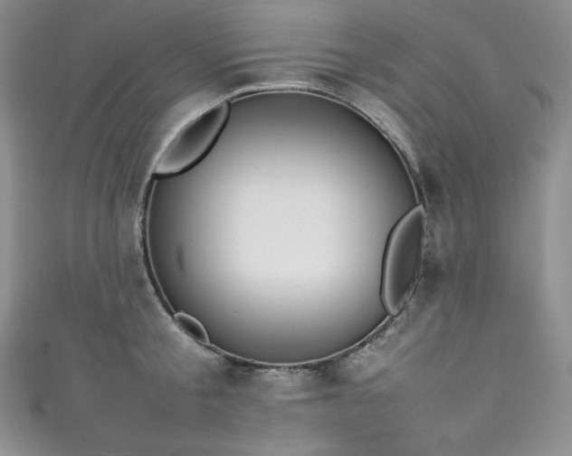 X0000111530805200907141527