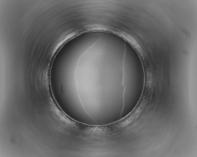 X0000111530806200907141527