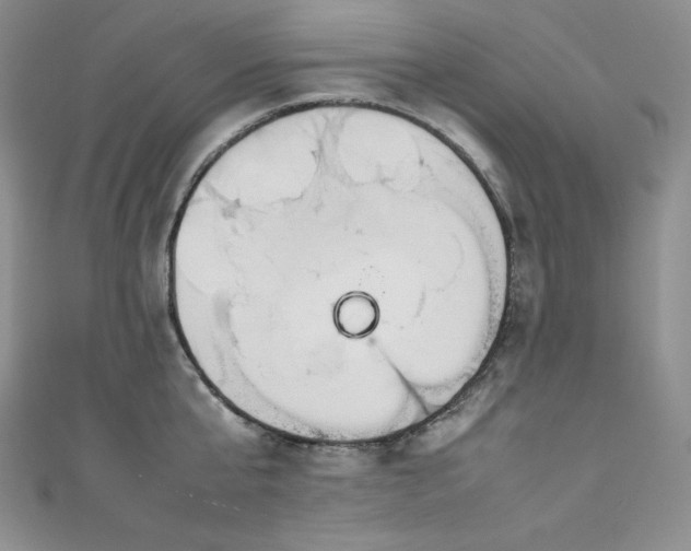 X0000111530807200907141527