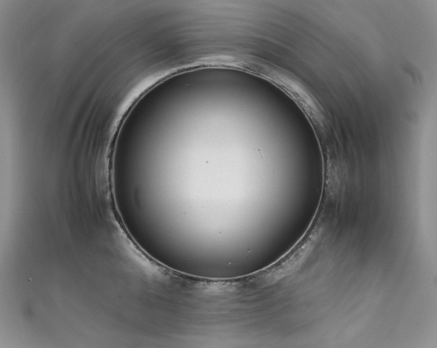 X0000111530808200907141527