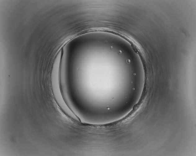 X0000111530809200907141527