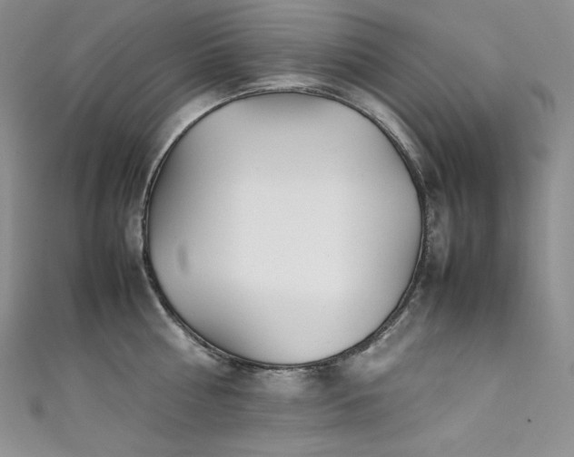 X0000111530810200907141527