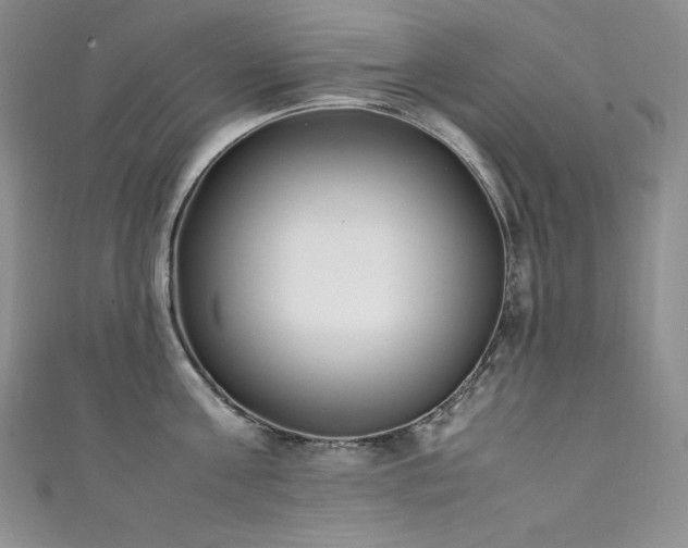 X0000111530811200907141527