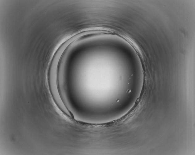 X0000111530813200907141527