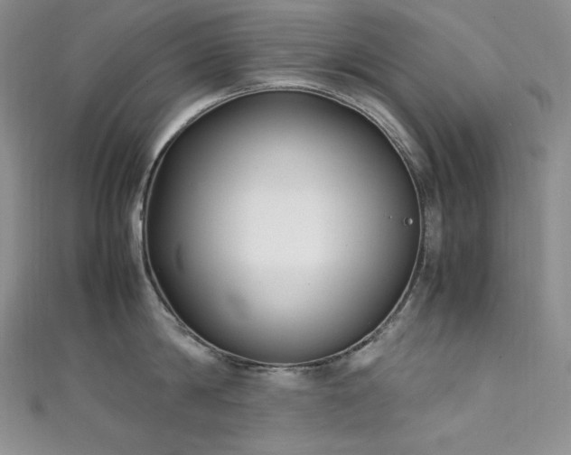 X0000111530814200907141527