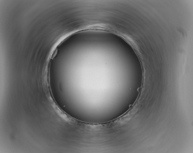 X0000111530816200907141527