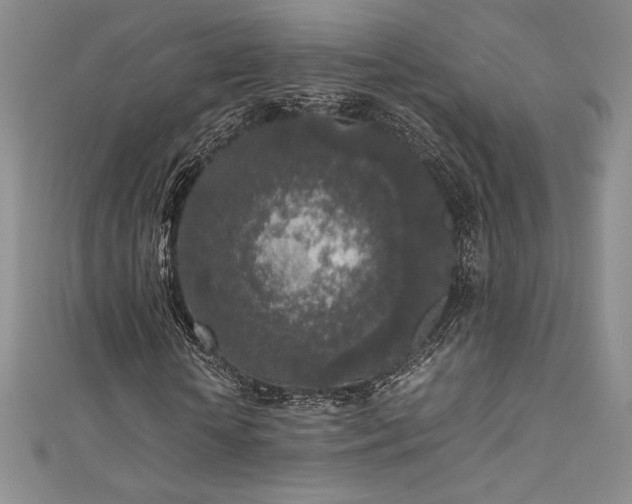 X0000111530818200907141526