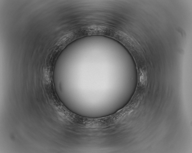 X0000111530819200907141526