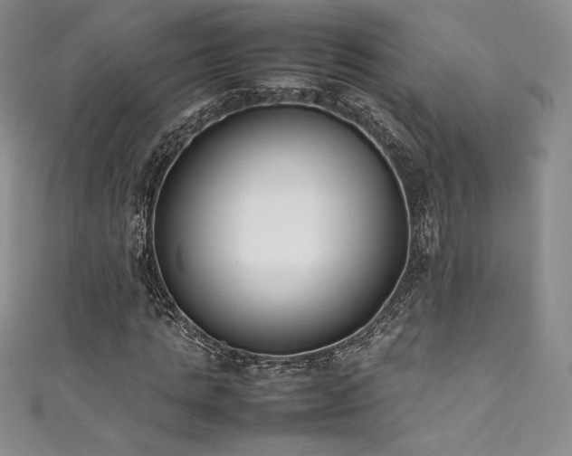 X0000111530821200907141526