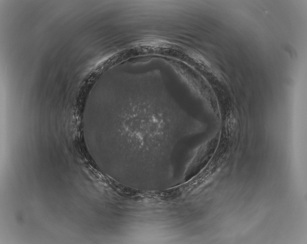 X0000111530822200907141526