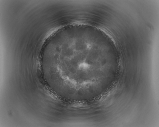 X0000111530823200907141526