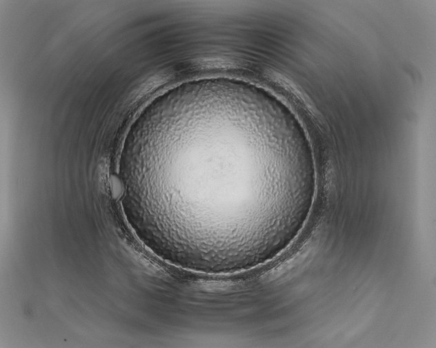 X0000111530825200907141526