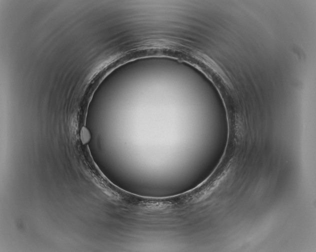 X0000111530826200907141526