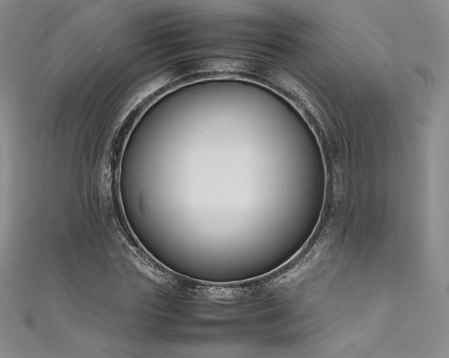 X0000111530827200907141526