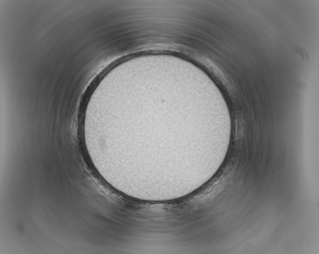 X0000111530828200907141526