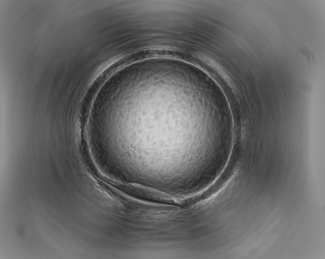 X0000111530829200907141526