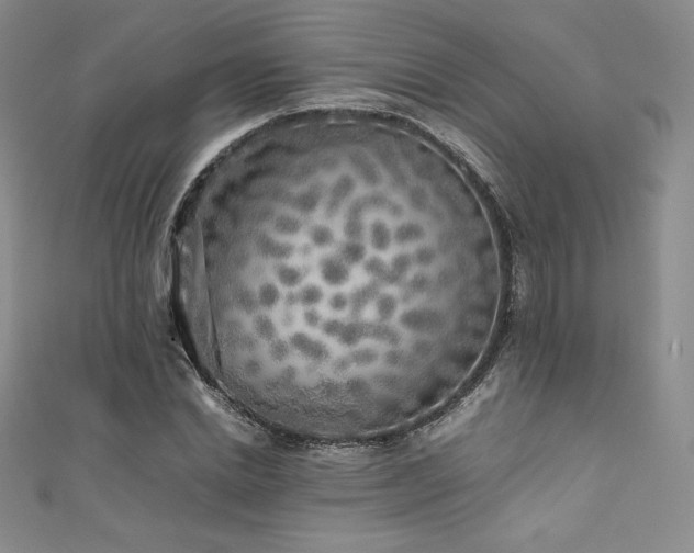 X0000111530830200907141526