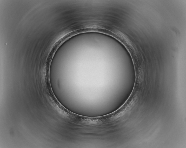 X0000111530831200907141526