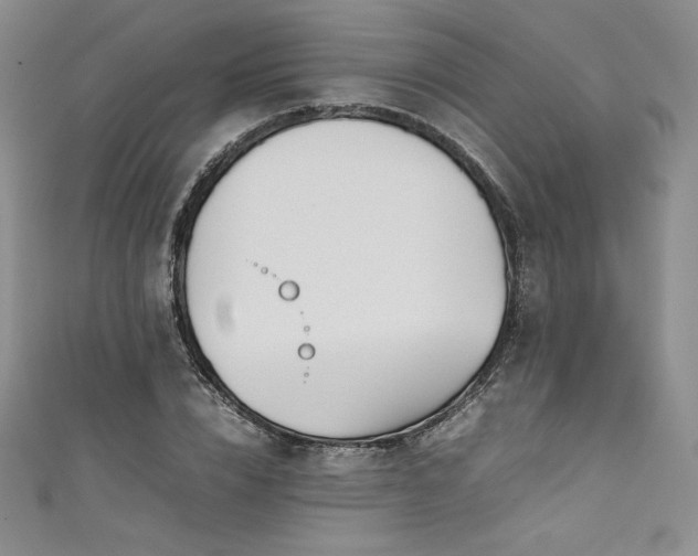 X0000111530832200907141526