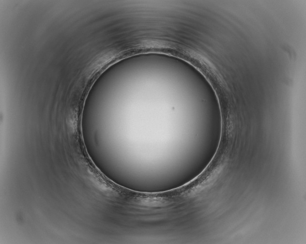 X0000111530833200907141526