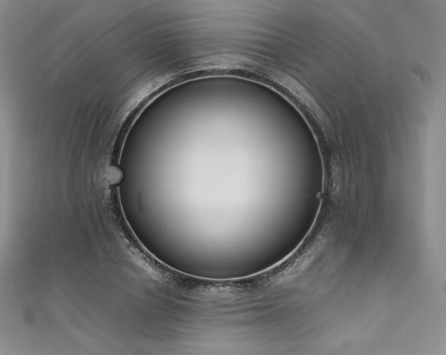 X0000111530834200907141526