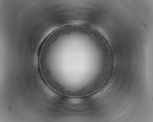 X0000111530835200907141526