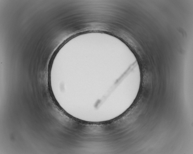 X0000111530836200907141526