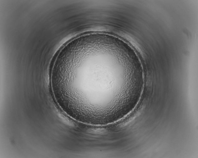 X0000111530837200907141526