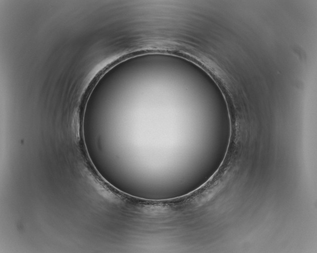 X0000111530838200907141526