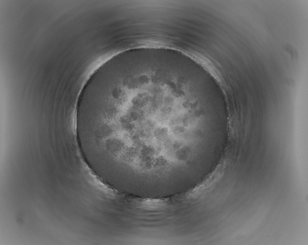 X0000111530839200907141526