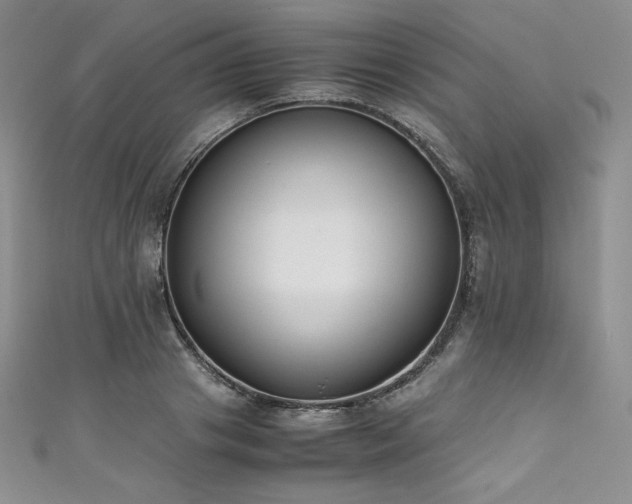 X0000111530841200907141526